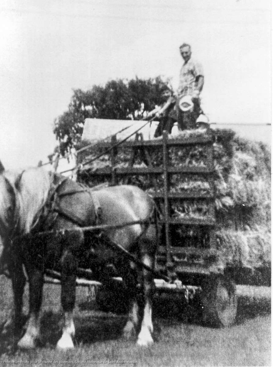 Agriculture au 20è siècle, album 5