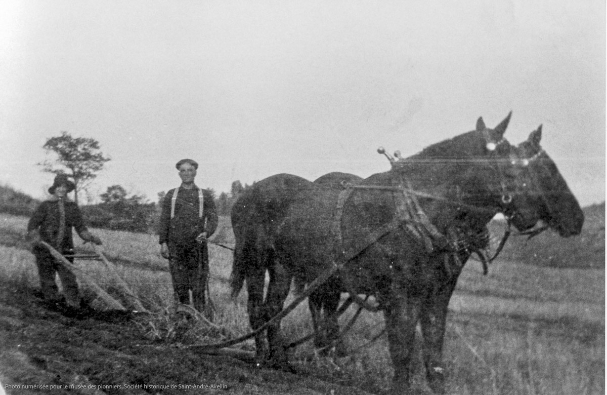 Agriculture au 20è siècle, album 5
